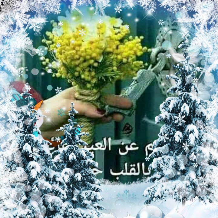 Mona Daoud